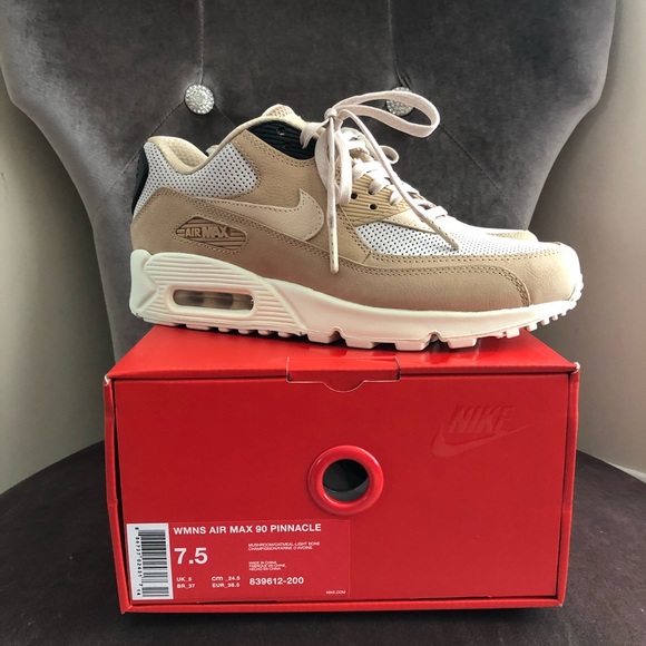 Nike Shoes - Nike Air Max 90 Pinnacle